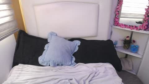 Palmer online show from 28, 12, 2024