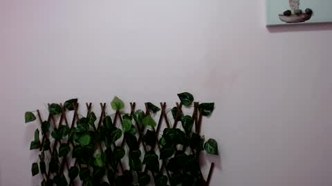 Pamela Claus online show from 30, 1, 2025