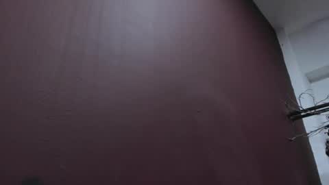  P A M  online show from 19, 10, 2025