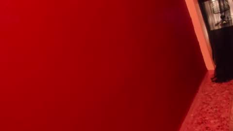  P A M  online show from 15, 1, 2026