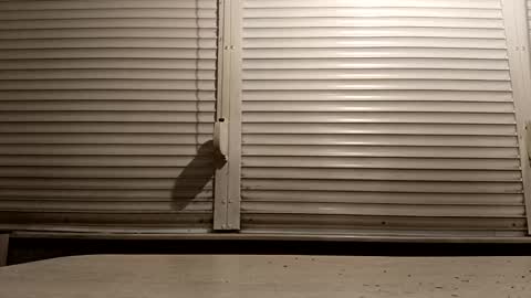 angel hris online show from 4, 2, 2026