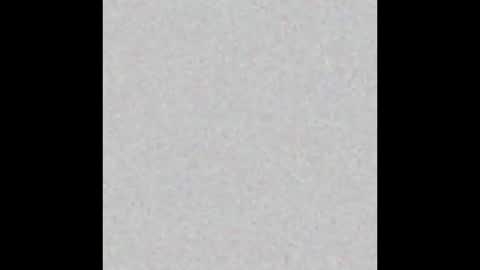 PantsLessTraveler online show from 25, 12, 2024