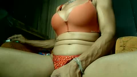 PAOLLA 23CM online show from 1, 4, 2026