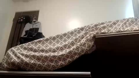 Papij online show from 17, 12, 2024