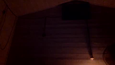 Pati24 online show from 5, 1, 2025