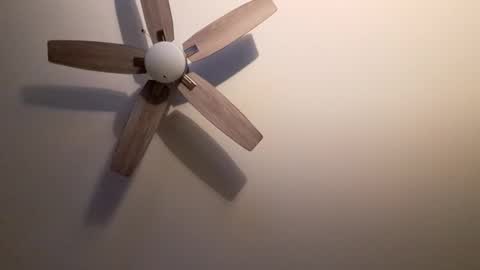 patrick247288 online show from 9, 9, 2025