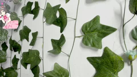 paulina online show from 23, 12, 2024