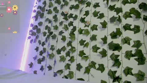 paulina online show from 31, 12, 2024