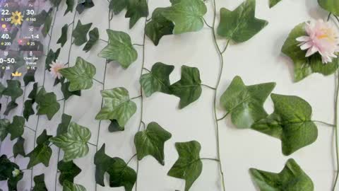 paulina online show from 9, 1, 2025