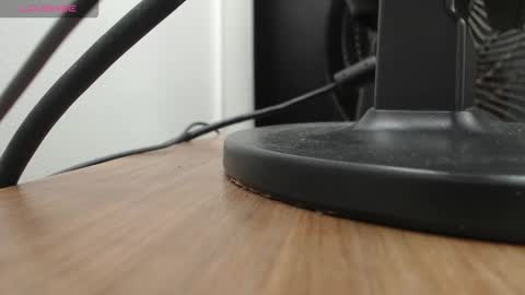 Snapshot of paul_ponce chatting on 19, 11, 2025 PAUL online show from 19, 11, 2025