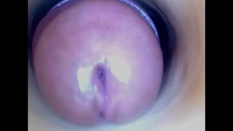 Paula 18 Aninhos online show from 8, 2, 2025