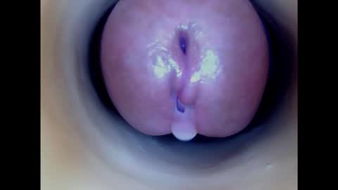 Paula 18 Aninhos online show from 8, 2, 2025