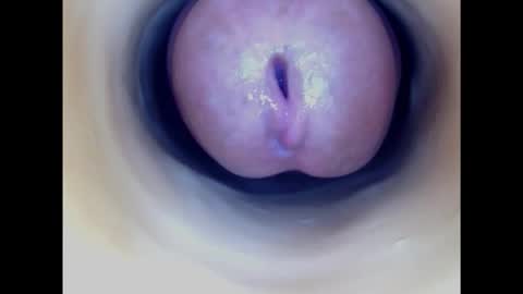 Paula 18 Aninhos online show from 21, 2, 2025