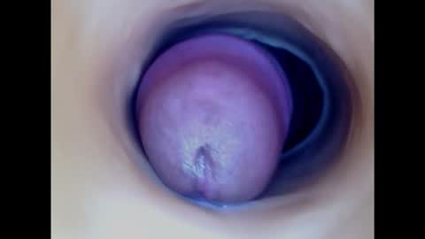 Paula 18 Aninhos online show from 11, 3, 2025