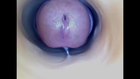 Paula 18 Aninhos online show from 11, 1, 2026