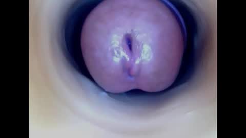 Paula 18 Aninhos online show from 17, 2, 2026