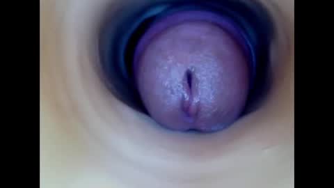 Paula 18 Aninhos online show from 26, 3, 2026