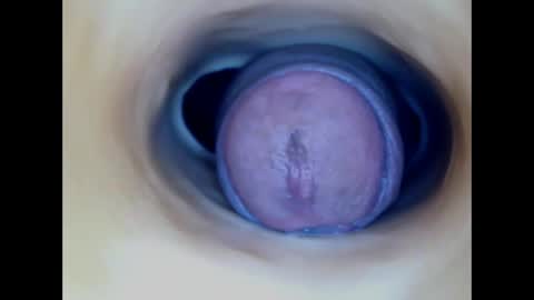 Paula 18 Aninhos online show from 29, 3, 2026