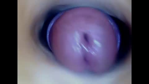Paula 18 Aninhos online show from 29, 6, 2026