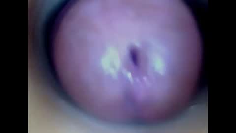 Paula 18 Aninhos online show from 13, 7, 2026