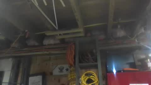 Snapshot of paulstetson chatting on 20, 12, 2024 paulstetson online show from 20, 12, 2024