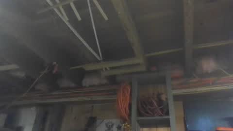 Snapshot of paulstetson chatting on 26, 12, 2024 paulstetson online show from 26, 12, 2024