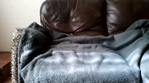 Snapshot of paurlien chatting on 21, 3, 2026 paurlien online show from 21, 3, 2026