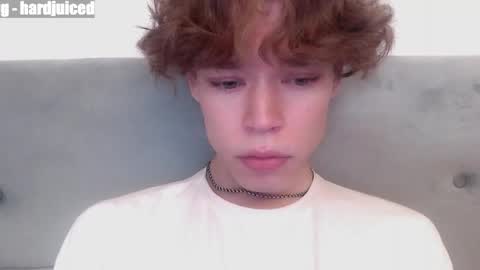 pawclaw online show from 7, 4, 2026