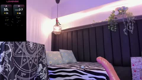 Snapshot of pawggirl18 chatting on 17, 12, 2024 Dani online show from 17, 12, 2024