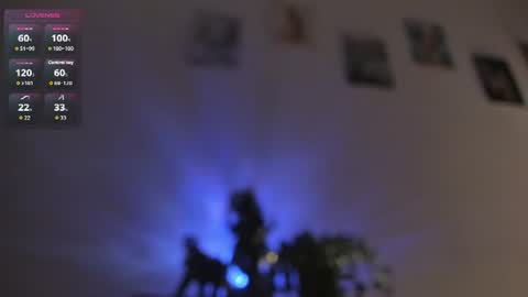 Dani online show from 29, 7, 2026