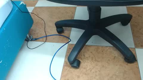 Snapshot of payton_bailey chatting on 4, 12, 2024 Payton online show from 4, 12, 2024