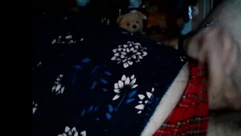 Snapshot of pbemid chatting on 6, 1, 2025 Papabear online show from 6, 1, 2025