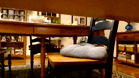 peecocktail online show from 13, 10, 2025