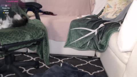 Snapshot of peekclimaxxx chatting on 6, 3, 2025 NEXT CHILL SESH 1130 930pm -ish PEEK online show from 6, 3, 2025