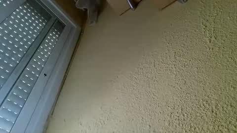 Snapshot of perales_12345 chatting on 19, 4, 2026 perales_12345 online show from 19, 4, 2026