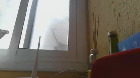 Snapshot of perales_12345 chatting on 14, 6, 2026 perales_12345 online show from 14, 6, 2026