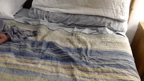 perdidobch online show from 13, 12, 2024