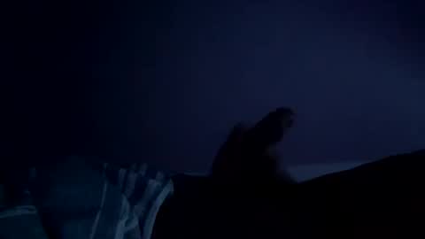 Snapshot of perfect427482577143 chatting on 26, 2, 2026 perfect427482577143 online show from 26, 2, 2026