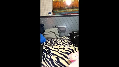 Snapshot of perfectcockandsexyfeet chatting on 7, 6, 2026 perfectcockandsexyfeet online show from 7, 6, 2026