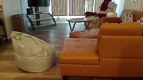 perfecto1957 online show from 7, 12, 2024