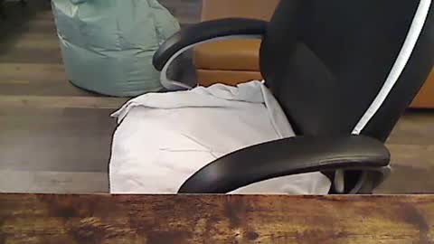 perfecto1957 online show from 30, 9, 2025