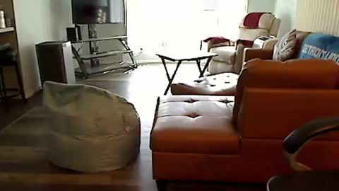 perfecto1957 online show from 10, 10, 2025