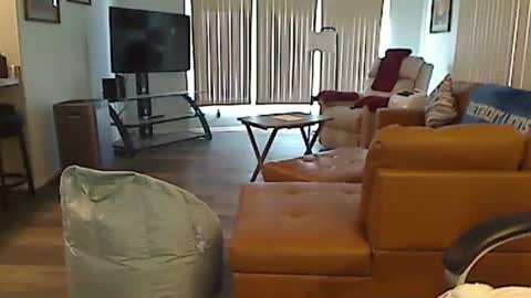 perfecto1957 online show from 30, 10, 2025