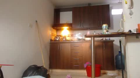 kamila online show from 29, 3, 2026