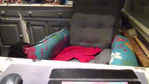 Snapshot of peter_on_kik chatting on 1, 11, 2025 make me cum in pvt dutch german daddy c2c bigcock online show from 1, 11, 2025