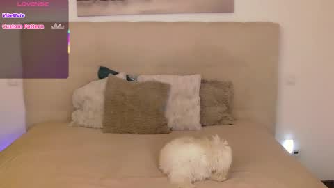 Snapshot of petersemily chatting on 14, 9, 2025 Peters Emily online show from 14, 9, 2025