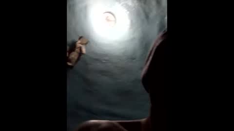 9072523824 online show from 19, 1, 2025