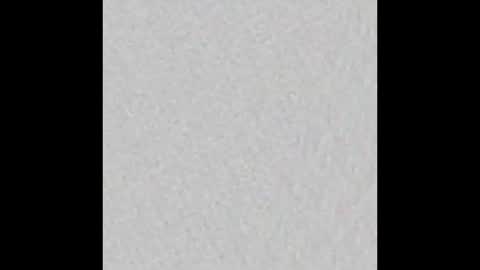 Petiteprinces online show from 9, 3, 2025