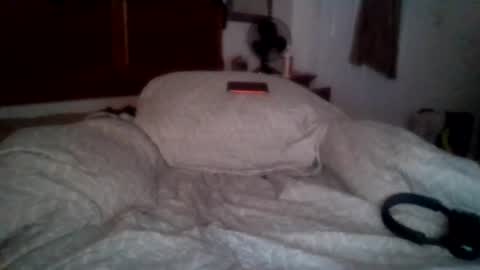 Snapshot of petrparkr2888 chatting on 3, 7, 2026 petrparkr2888 online show from 3, 7, 2026