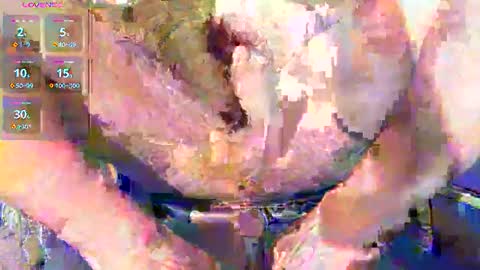 Snapshot of phil_up chatting on 11, 1, 2026 phil_up online show from 11, 1, 2026